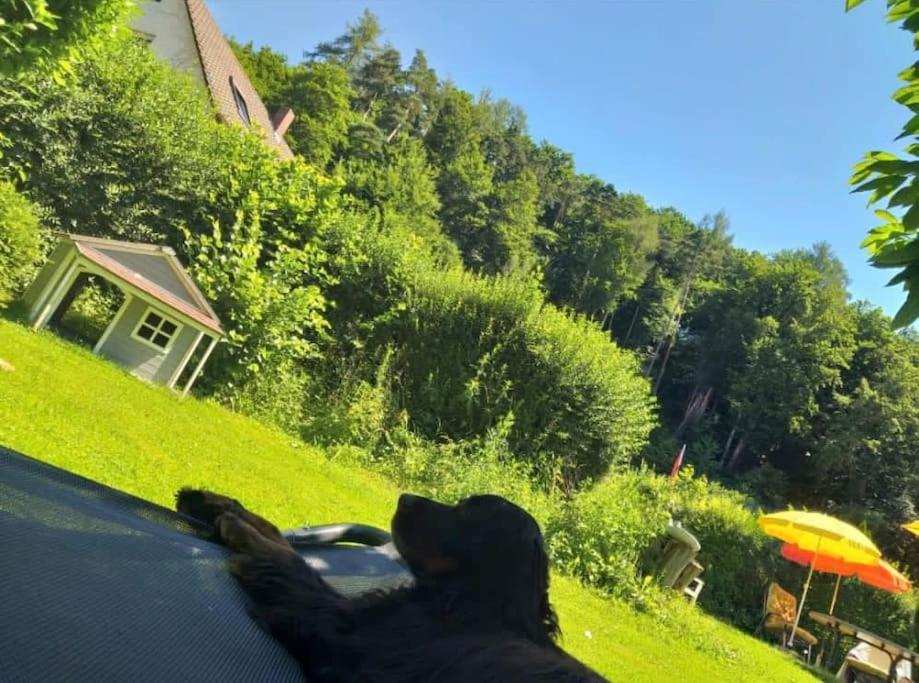 Ferienwohnung - Gruene Oase Stockach Exterior foto